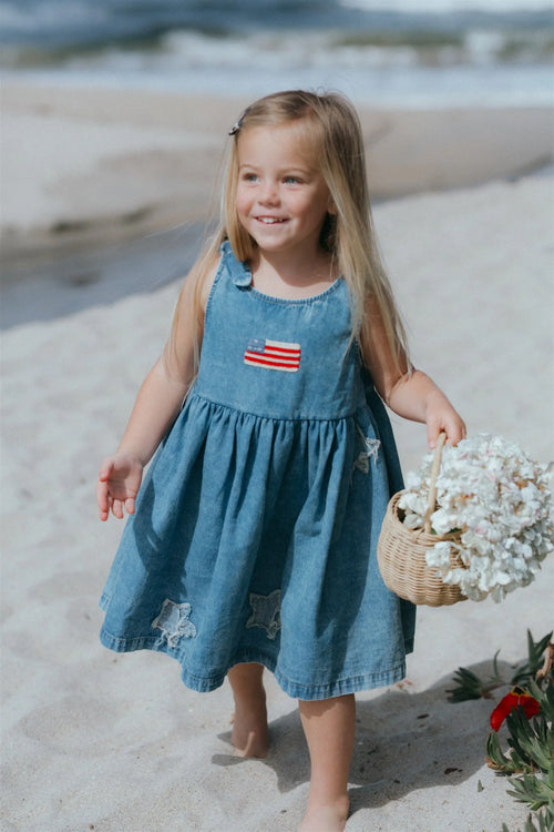 Piper Dress - Denim Stars