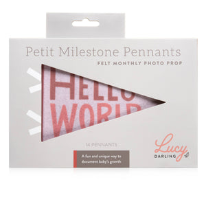 Blushing Meadow Baby Milestone Pennant