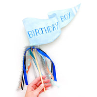 Birthday Boy Party Pennant