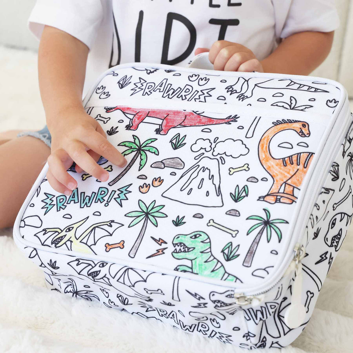 Colorable Lunchbox Jurassic Playground