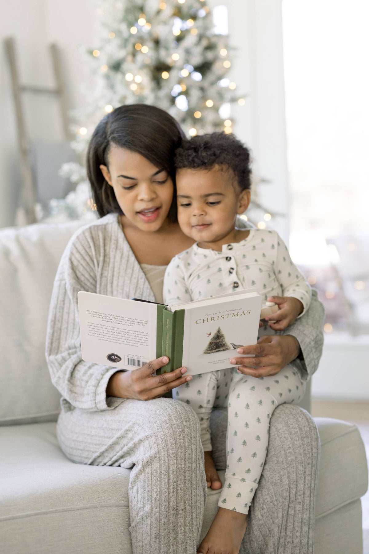 Our Little Adventure at Christmas (Baby's first Christmas)