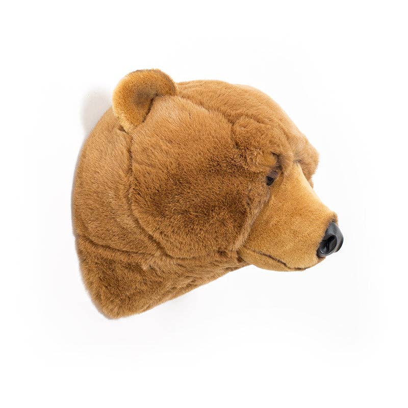 Oliver the brown bear