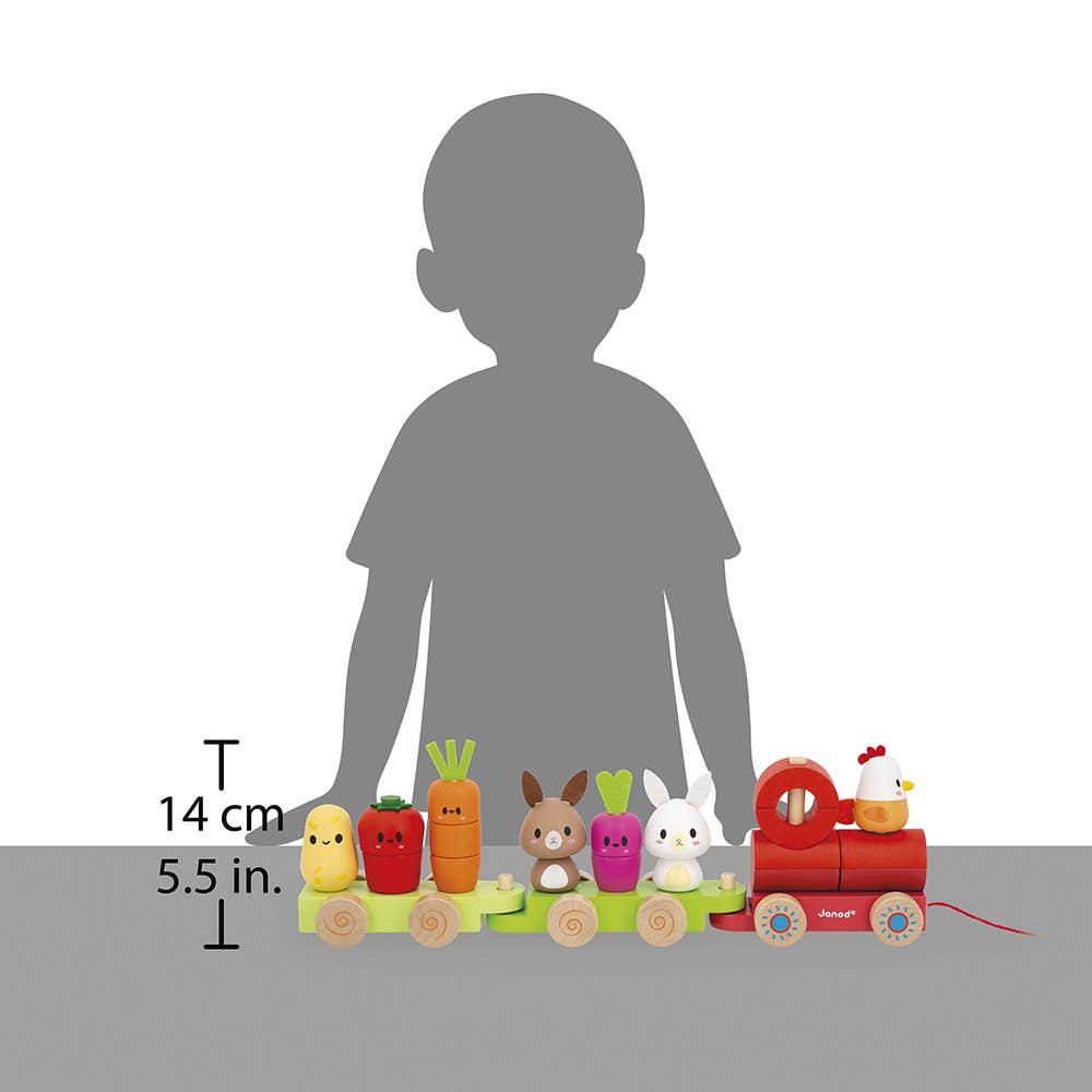 Farm | Pull-Along Stacker Train | 19 pieces