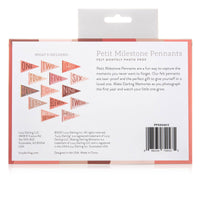 Blushing Meadow Baby Milestone Pennant