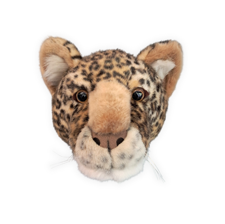 Charlie the Leopard: Wall Deco - Medium Head