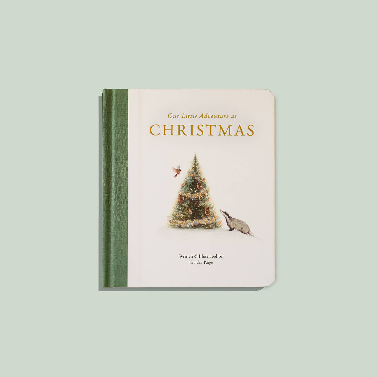 Our Little Adventure at Christmas (Baby's first Christmas)