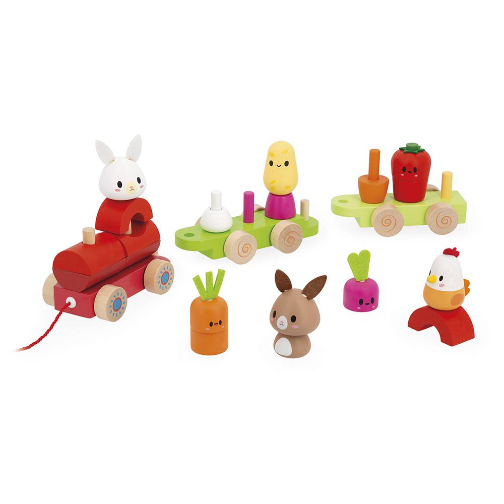 Farm | Pull-Along Stacker Train | 19 pieces