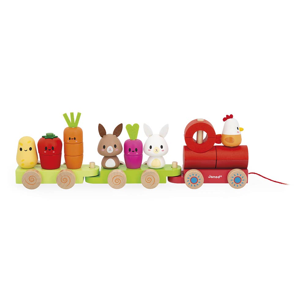 Farm | Pull-Along Stacker Train | 19 pieces