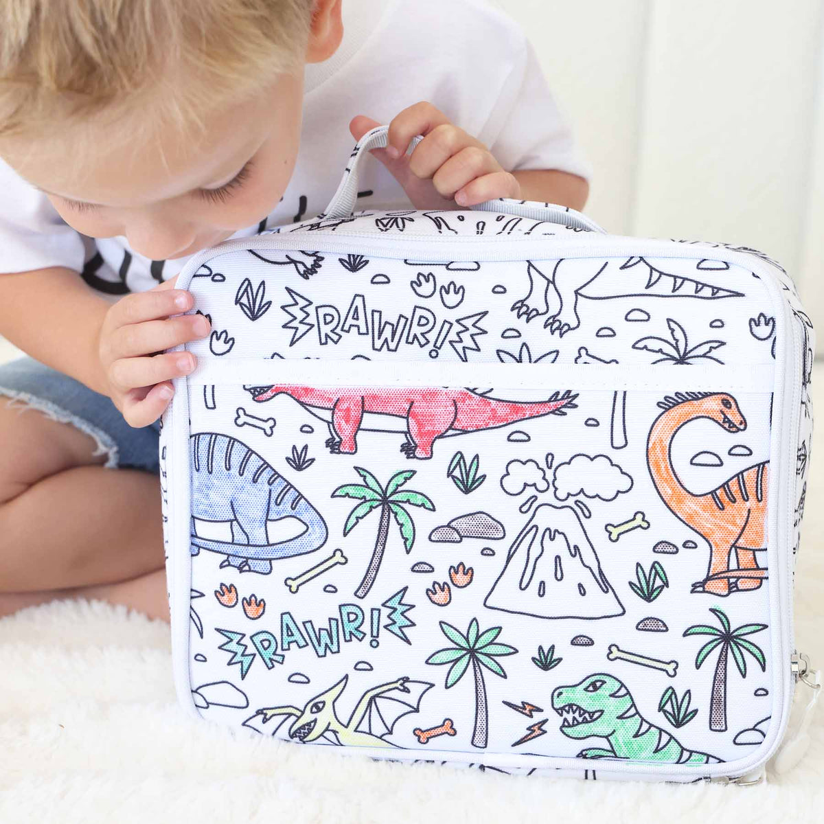 Colorable Lunchbox Jurassic Playground