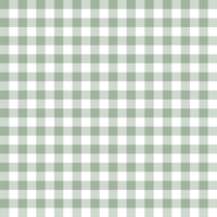 Sage Gingham Jam Set