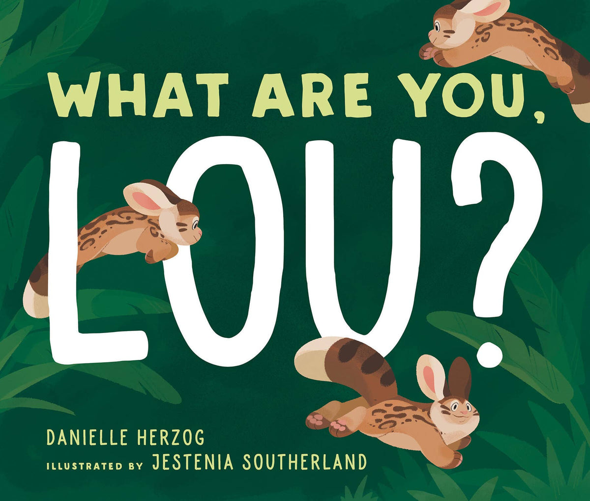 What Are You, Lou? Picture Book