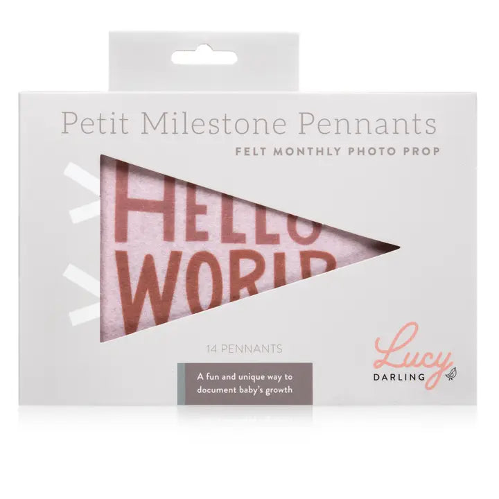 Mountain Fields Petit Milestone Pennant