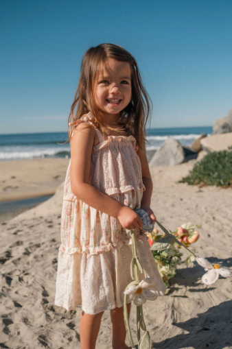 Amber Dress in Pink Rose