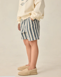 Dawson Short Navy Stripe