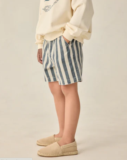 Dawson Short Navy Stripe