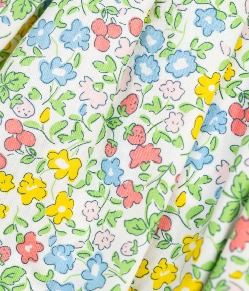 Ditsy Floral and Berry Penny Dress