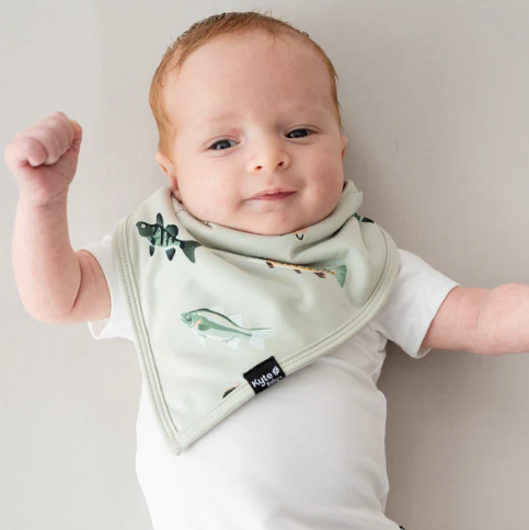 Bib in Fishing