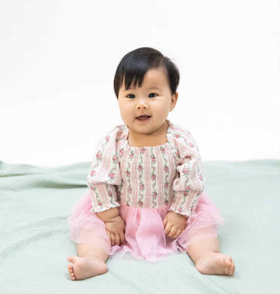Winding Roses Stripe  Long Sleeve Smocked Bubble with Tutu
