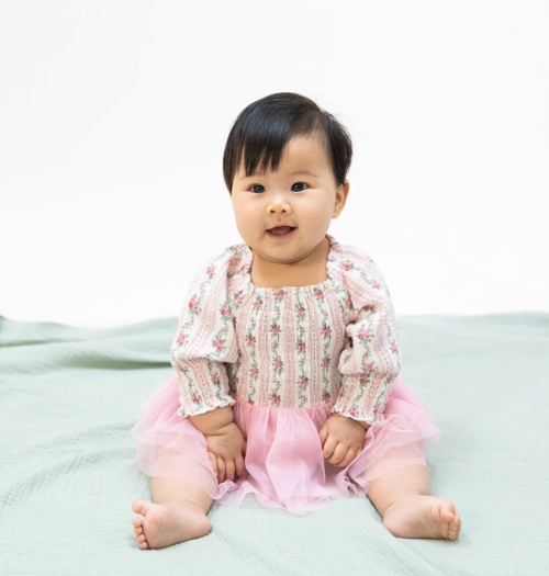 Winding Roses Stripe  Long Sleeve Smocked Bubble with Tutu