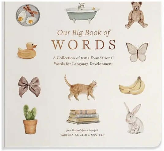 Our Big Book of First Words Board Book
