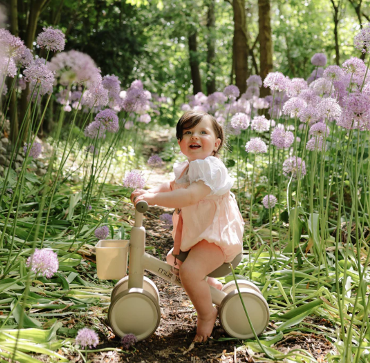 Mini Toddler Bike - Shifting Sand