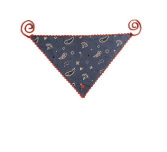 Bandana in Midnight Bandana