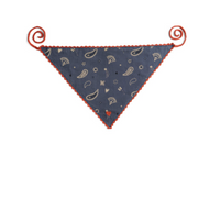 Bandana in Midnight Bandana