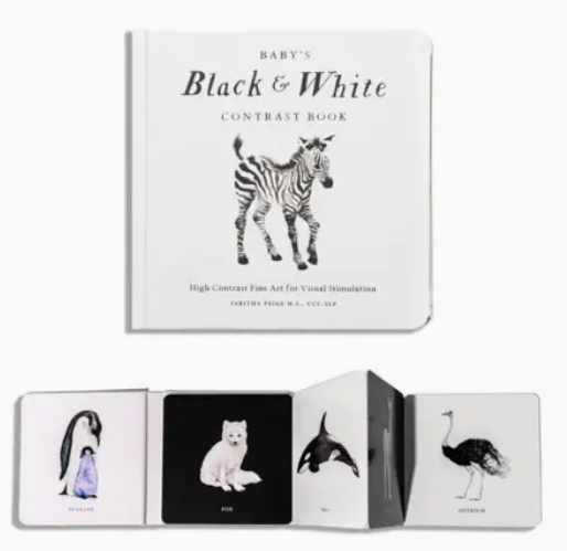 Baby's Black and White Contrast Book