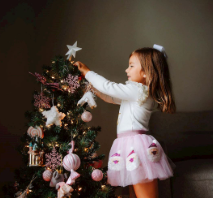 Pink Santa Tutu