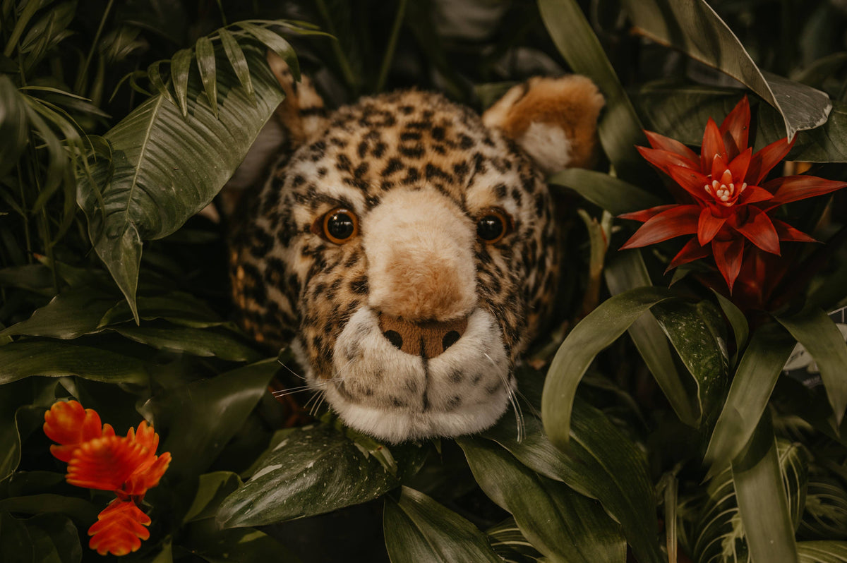 Charlie the Leopard: Wall Deco - Medium Head