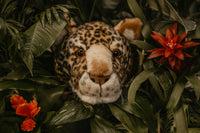 Charlie the Leopard: Wall Deco - Medium Head