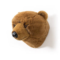 Oliver the brown bear