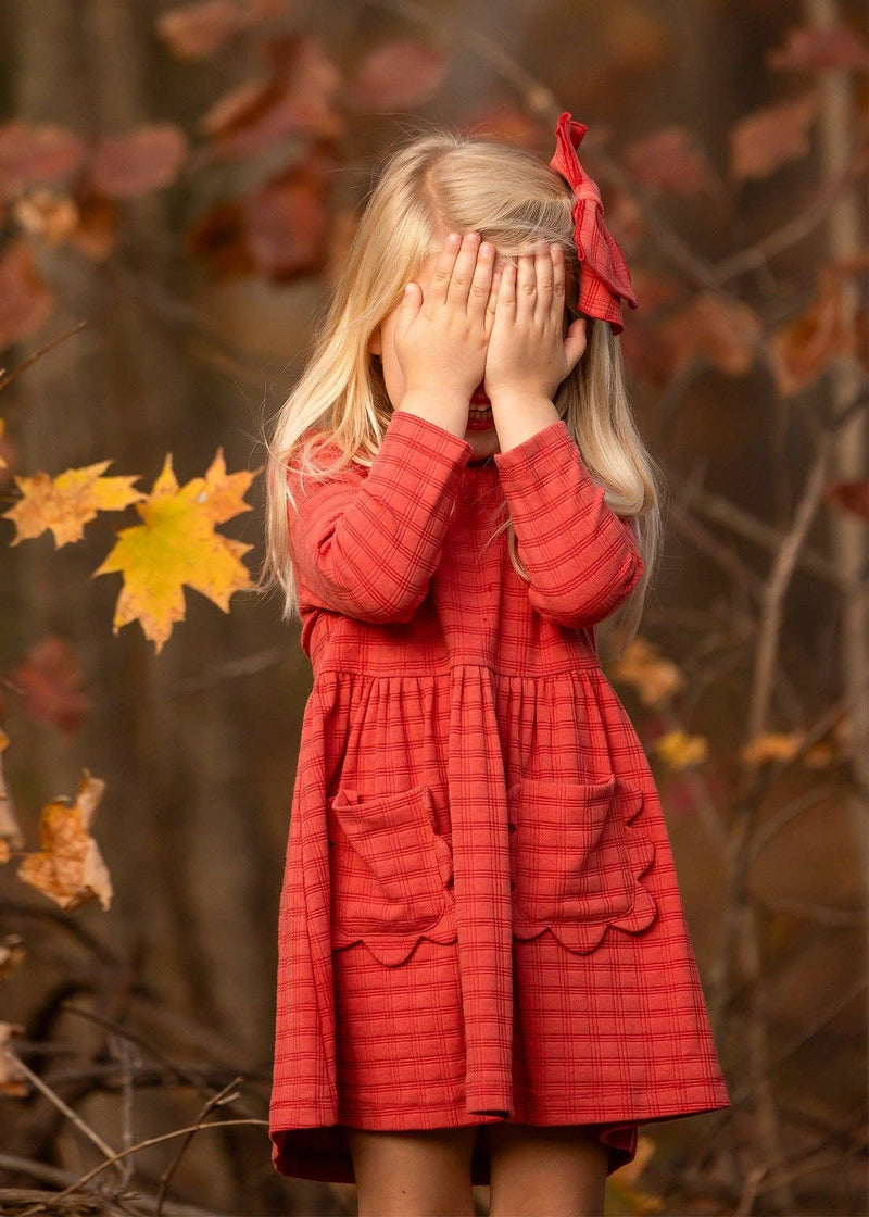 Tea Party Red Gingham Dress