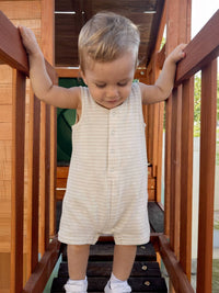 Sage Pencil Stripe / Organic Shortie