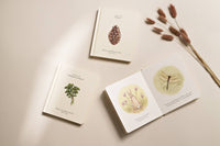 Our Little Adventures Board Book Box Set for Kids
