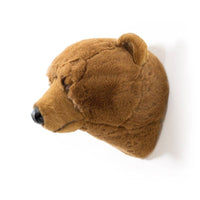 Oliver the brown bear