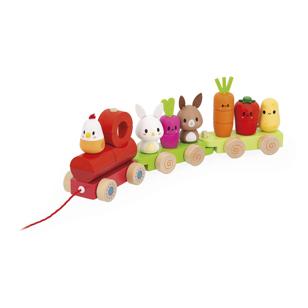 Farm | Pull-Along Stacker Train | 19 pieces