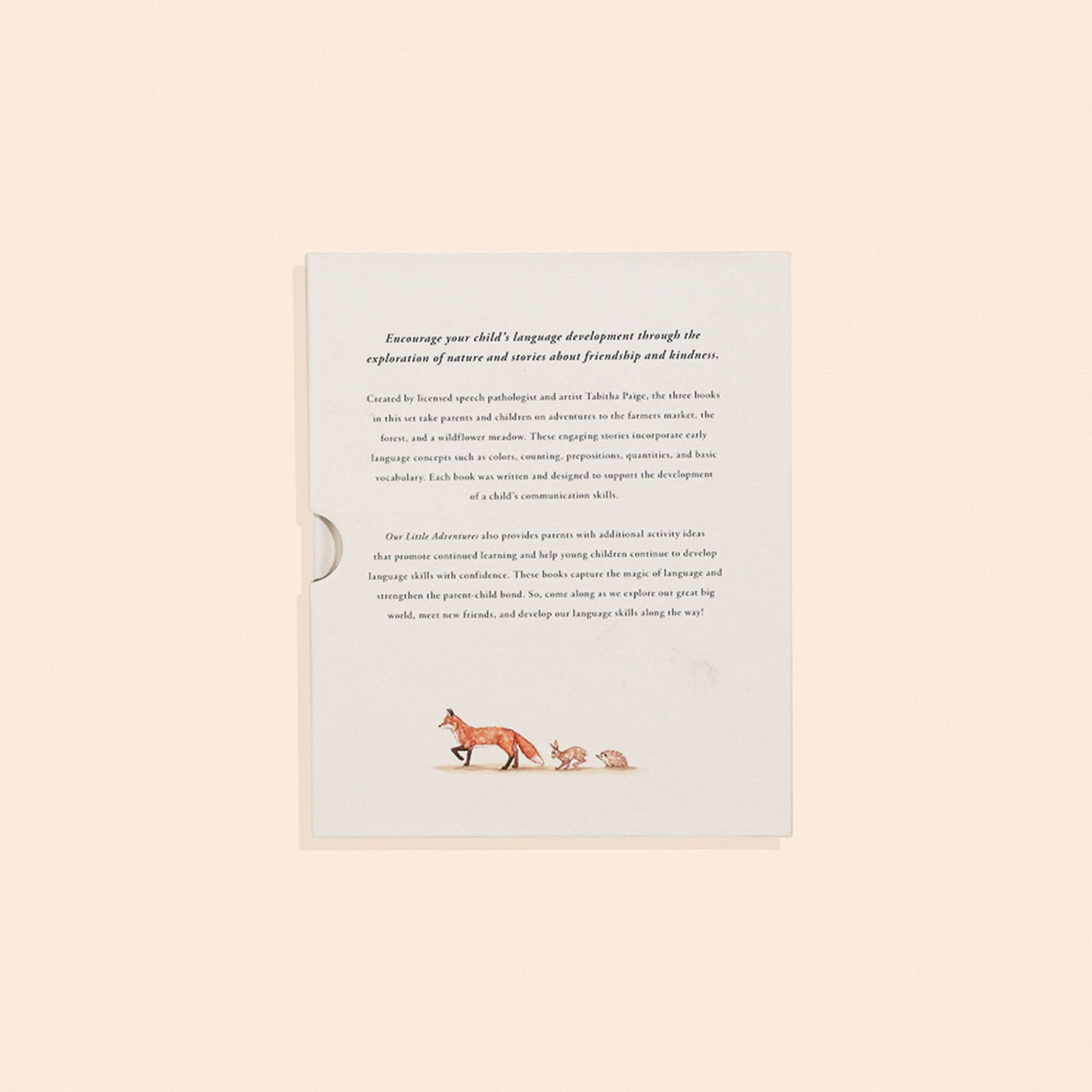 Our Little Adventures Board Book Box Set for Kids