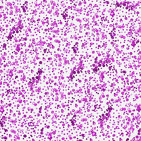 Chunky Confetti Glitter Gel - Neon Purple