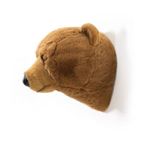 Oliver the brown bear