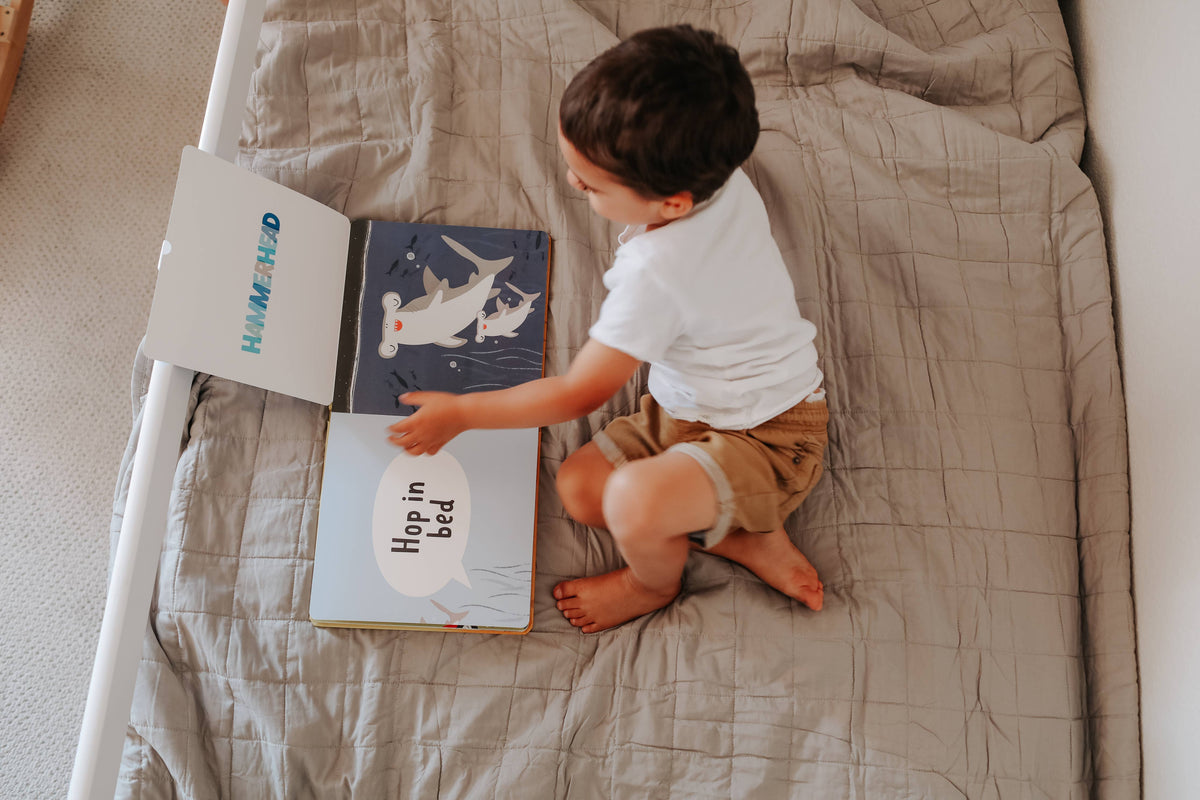 Grab Your Pillow, Armadillo - Kids' Book